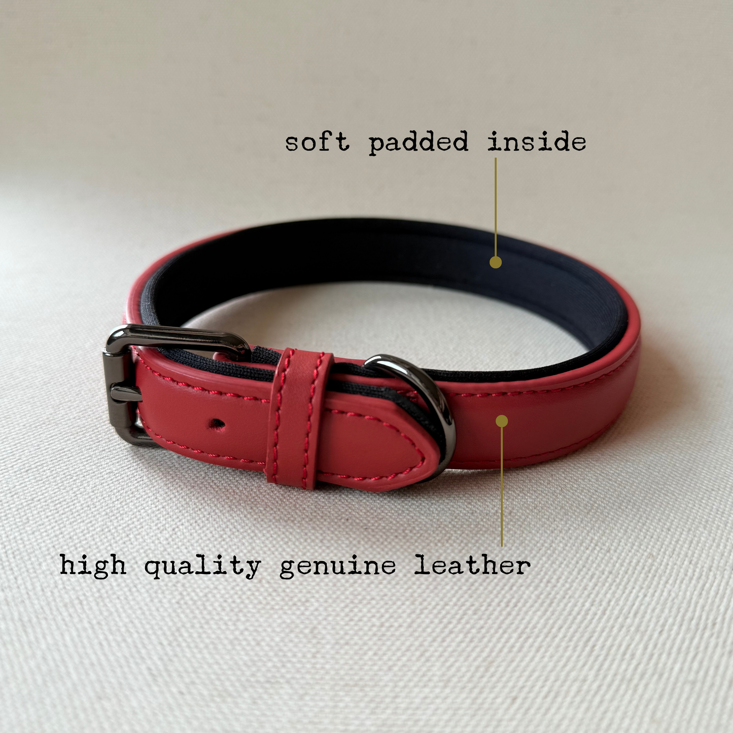 Custom Leather Dog Collar